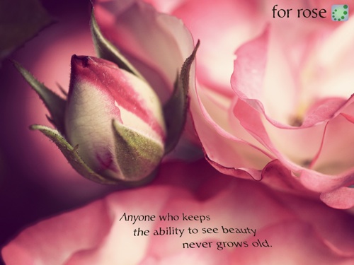 ability to see beauty